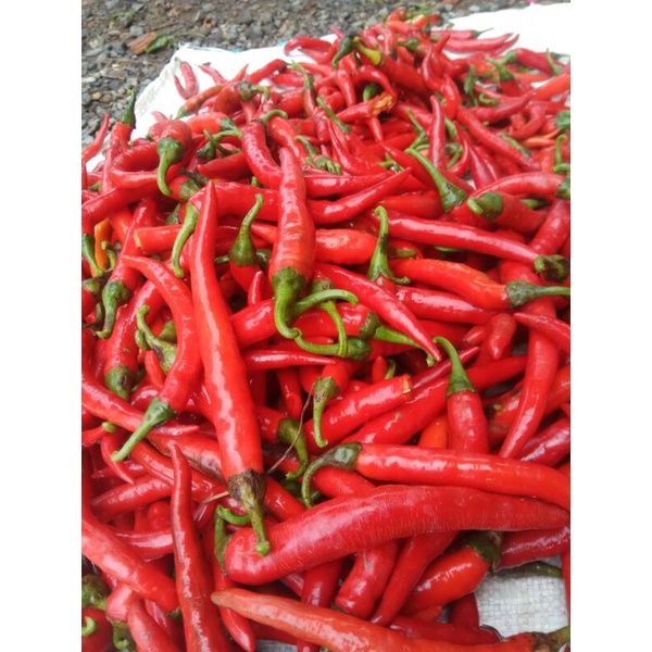 

cabe - cabai merah besar 500 gr