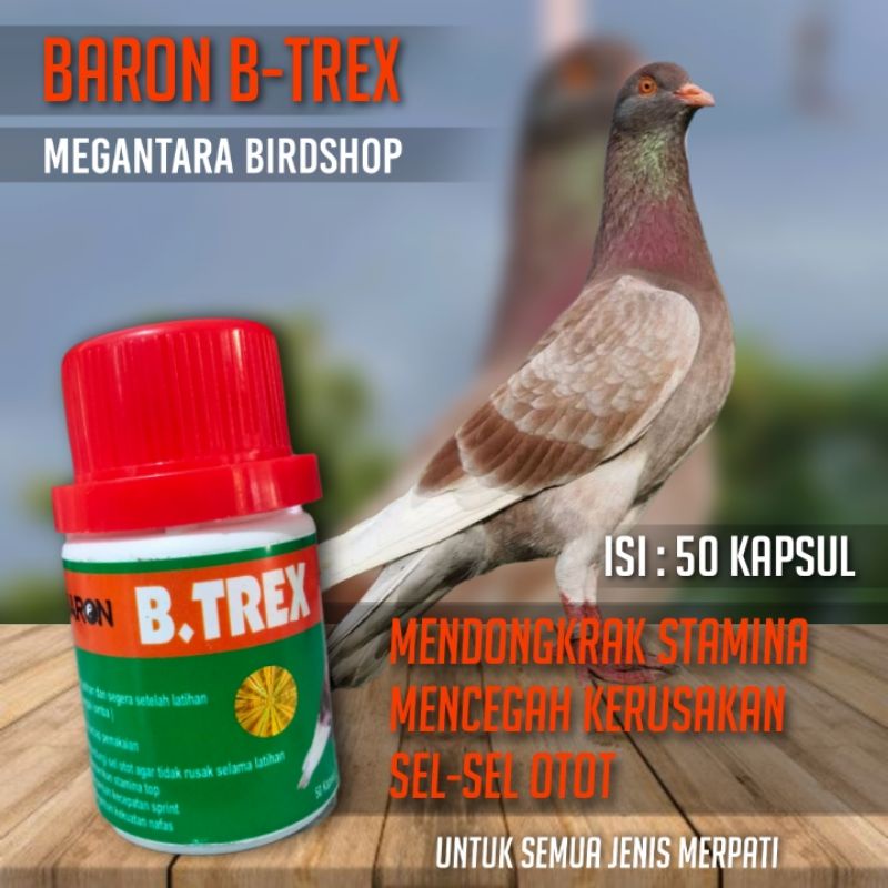 Baron btrex suplemen merpati doping merpati 50 kapsul