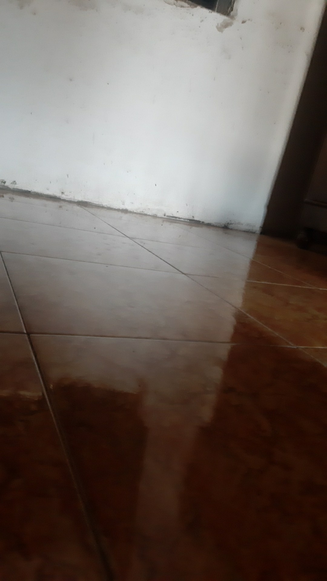 Jaring Ayam Lebar 1,2 Meter Jaring Pagar Ayam - Jaring Kandang Burung Jaring Pagar Tanaman