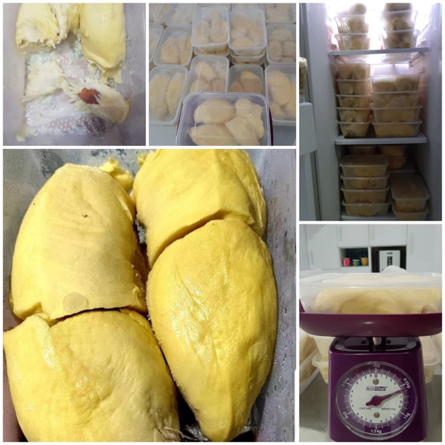 

Premium Durian Palu