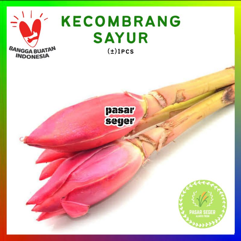 

KECOMBRANG SAYUR - FRESH [1 Pcs]