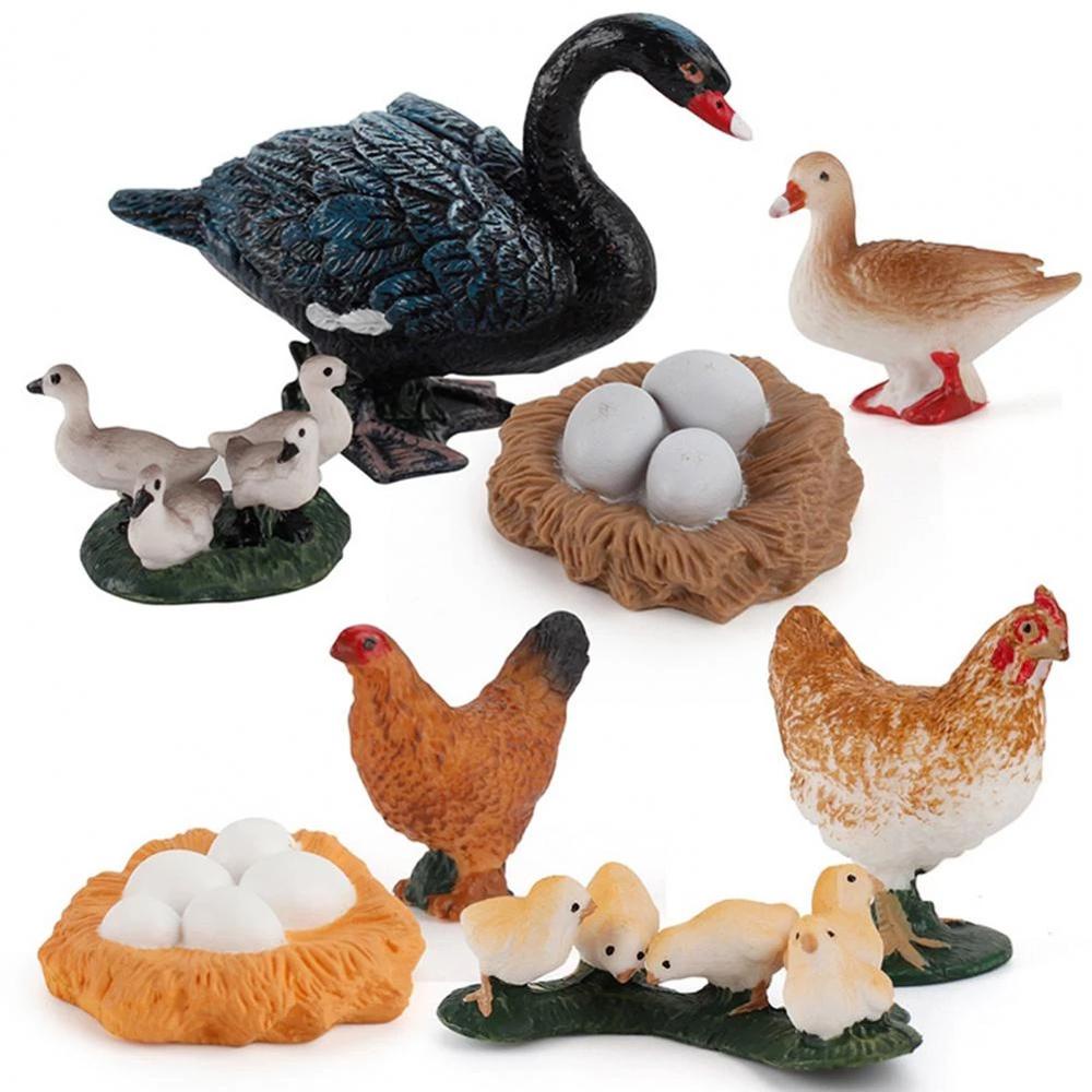 Quinton Life Cycle Figure Simulasi Ilmu Angsa Model Hen Cock Mainan Edukasi Cycle Bebek Figurine