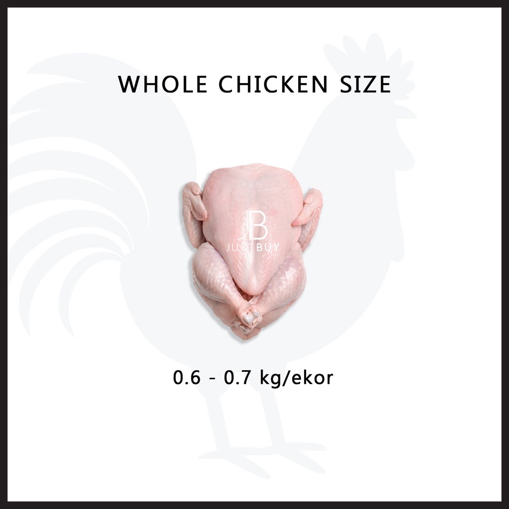 

Ayam karkas / PKK (ayam broiler) 0.6 - 0.7 kg frozen