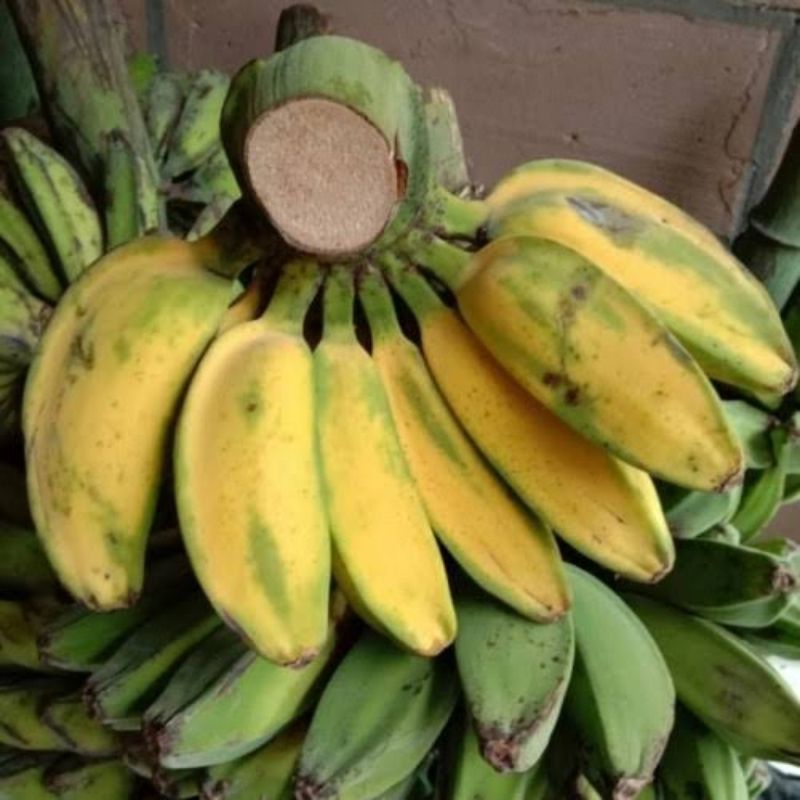 

pisang kepok 1 sisir