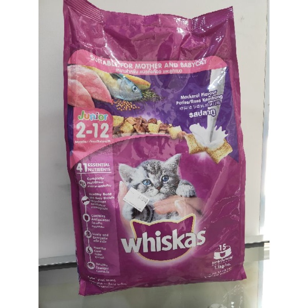 whiskas junior mackerel 1.1kg