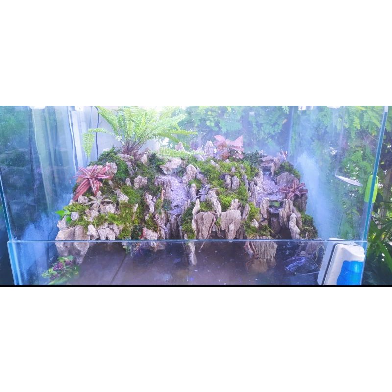 paludarium fullset