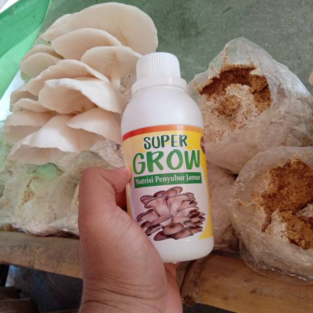 9 [PUSATNYA] Pemasok Produk Gizi ZPT Perangsang Jamur Tiram, Harga Murah Pupuk Pemacu Tumbuh Jamur