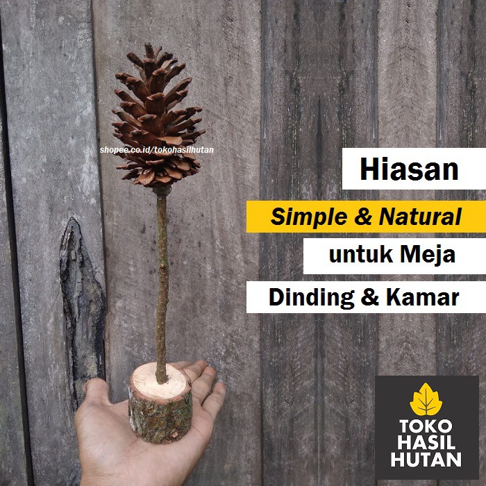 Hiasan Meja Dinding Kamar Dekorasi  Alami Bunga Pinus 