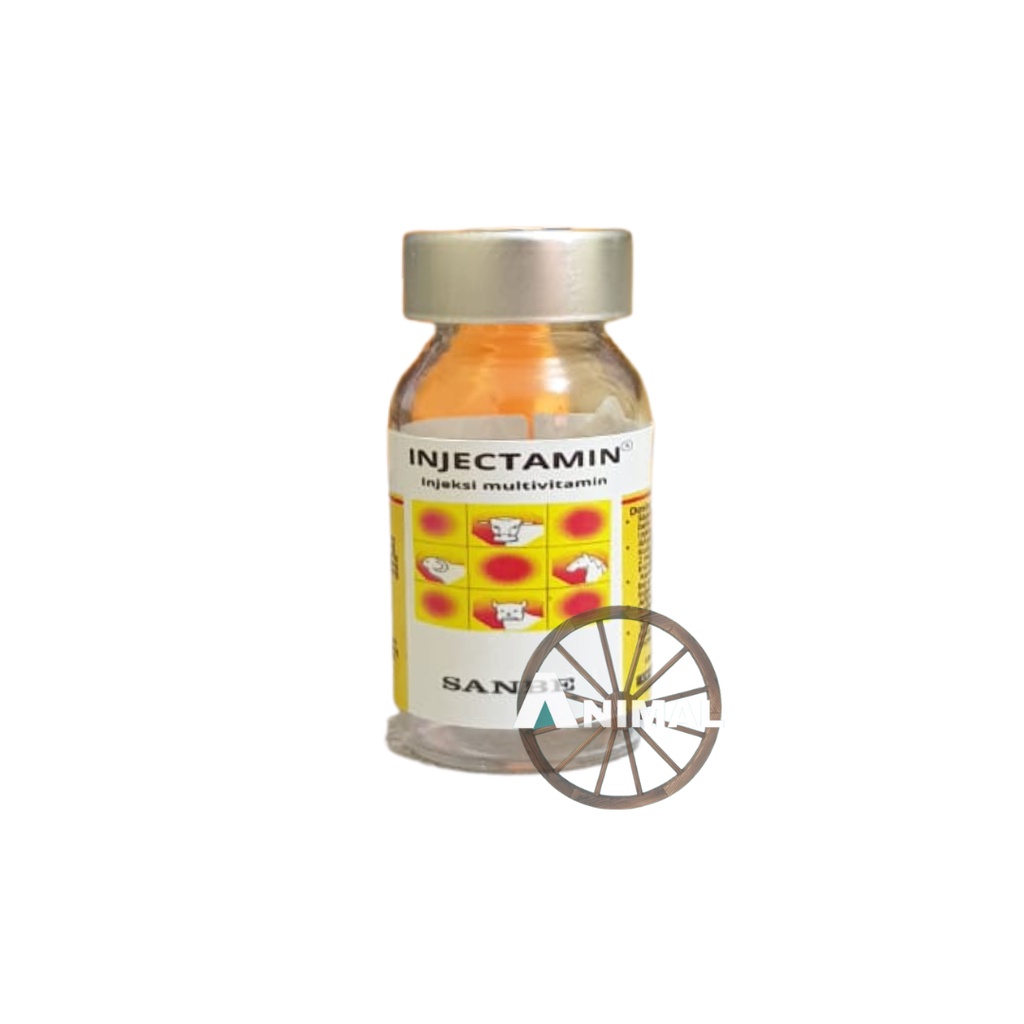INJECTAMIN 10 ML MULTIVITAMIN LENGKAP