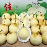 

Buah segar fir/fears sentury/fear madu fresh manis per 1 kg