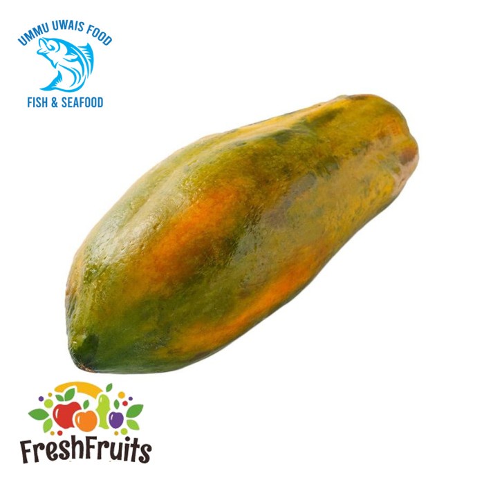 

Buah Pepaya Bangkok Segar Berkualitas - 1 Buah