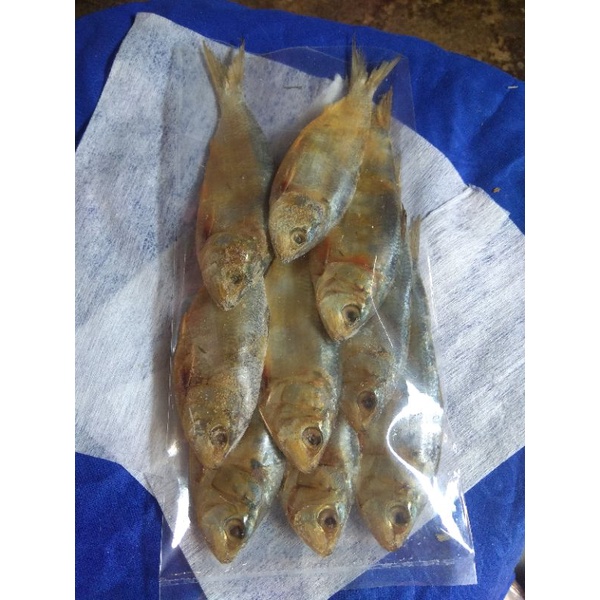 

ikan asin balo