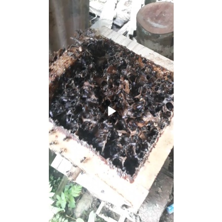 STUP TRIGONA ITAMA SUPER