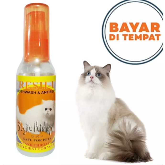 FRESH UP - OBAT SARIAWAN KUCING SAKIT TENGGOROKAN PENGHILANG BAU MULUT