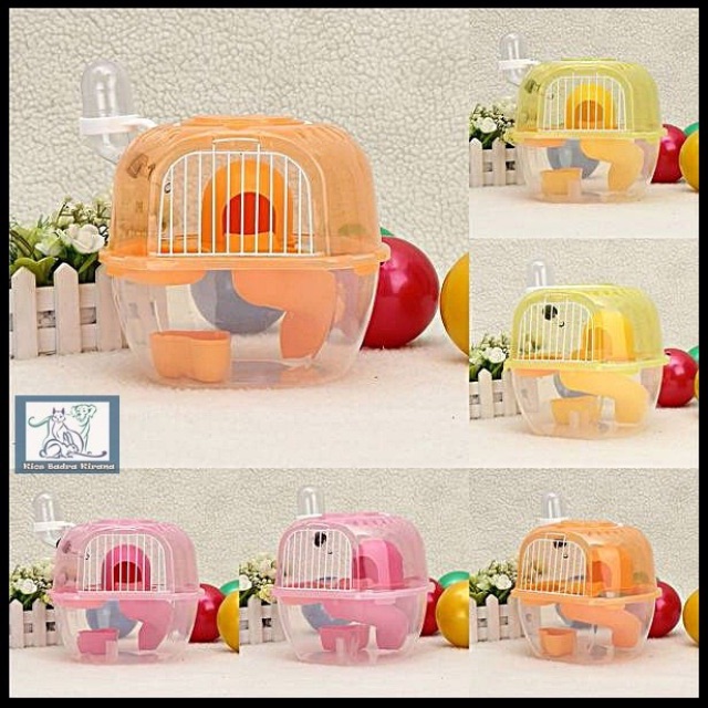 Kandang Hamster Apel PRELOVED