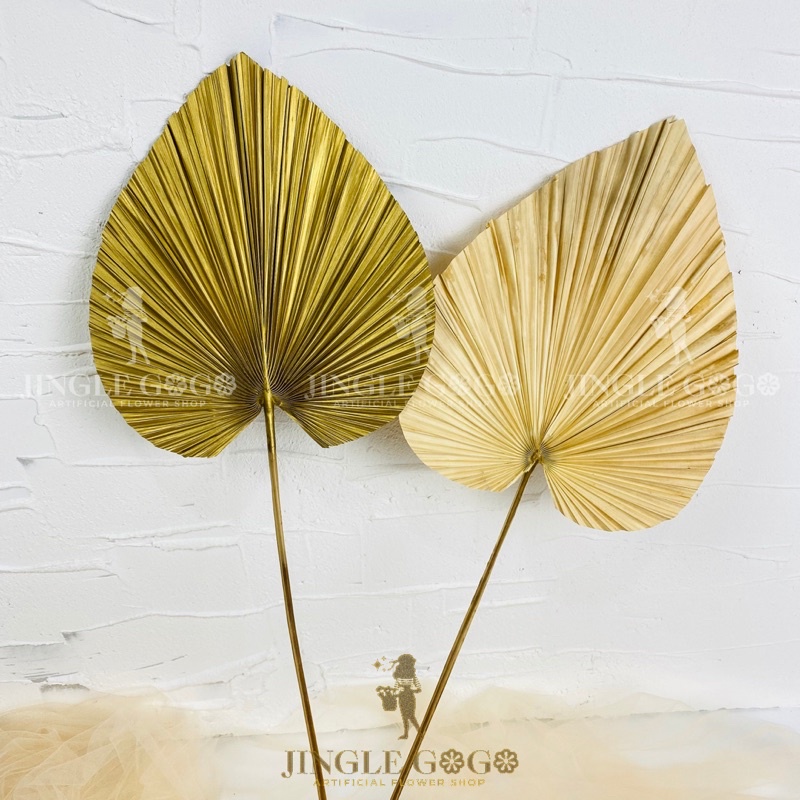 Ecer (1 pc) Palem Kering Palem Kipas Emas Gold Palm Coklat Natural Bunga Kering Dried Flower untuk d