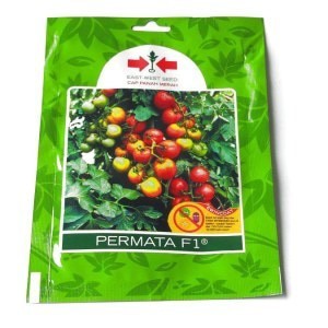 

Tomat Sayur