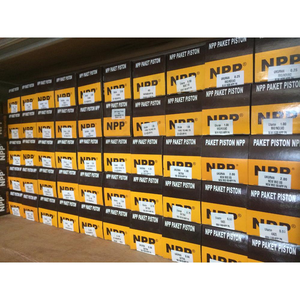Piston Kit NPP Xeon STD