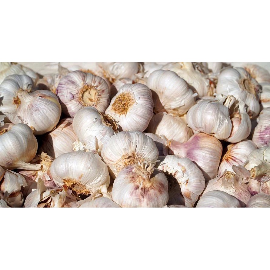

BAWANG PUTIH SEGAR ASLI DARI PETANI PILIHANI ISI 1KG / 1000 gram