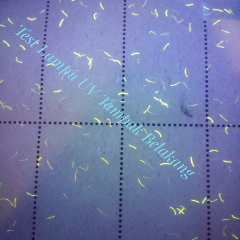 

Terlaris ✨ - Set Variasi Lengkap Perangko Hari Cinta Puspa & Satwa Nasional 1995 paket Prangko flora fauna tahun3.1.23