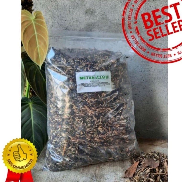 MEDIA TANAM POROUS  ( METAN SUPER AJAIB ) 1KG isi banyak TERBUKTI SUBUR SEMUA TANAMAN AGLONEMA PHILO