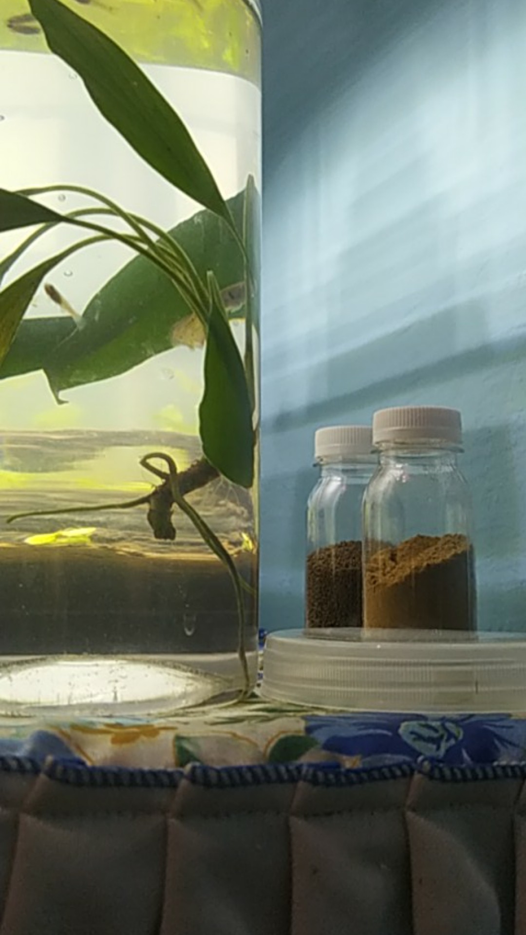 Eceran - Botol Pet Jelly 80ml /tebal/kuat/madu/sirup/obat/pil/sanitizer