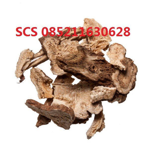 

Bai Zhu White Atractylodes 1kilogram