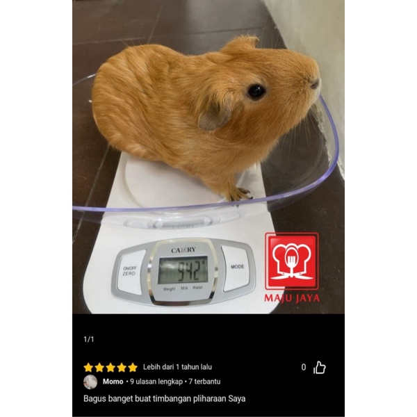 

Pig 5Kg Mini Hewan Timbangan Marmut Guinea Landak Hamster Dijual Digital Limited