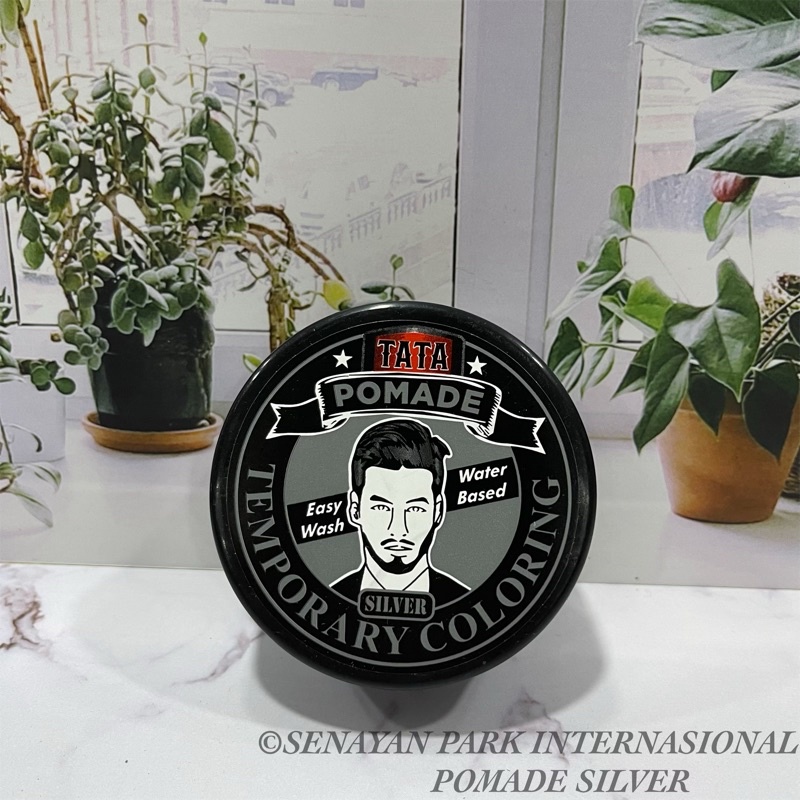 TATA STYLING POMADE VARIAN SILVER BPOM TEMPORARY COLORING