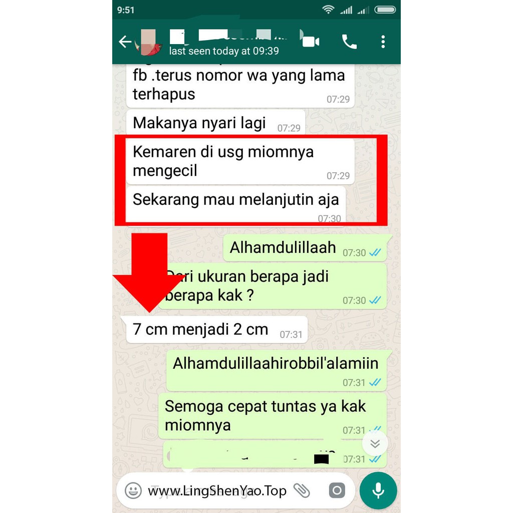 LING SHEN YAO KAPSUL - Obat Herbal Kanker - Kista - Diabetes - LINGSHENYAO Jaminan ORIGINAL per BOX-6