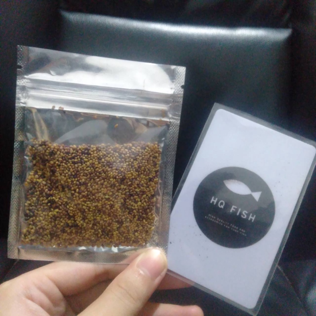 BIBIT LUCKY CLOVER 8GR TANAMAN AQUASCAPE BIBIT CARPET SEED