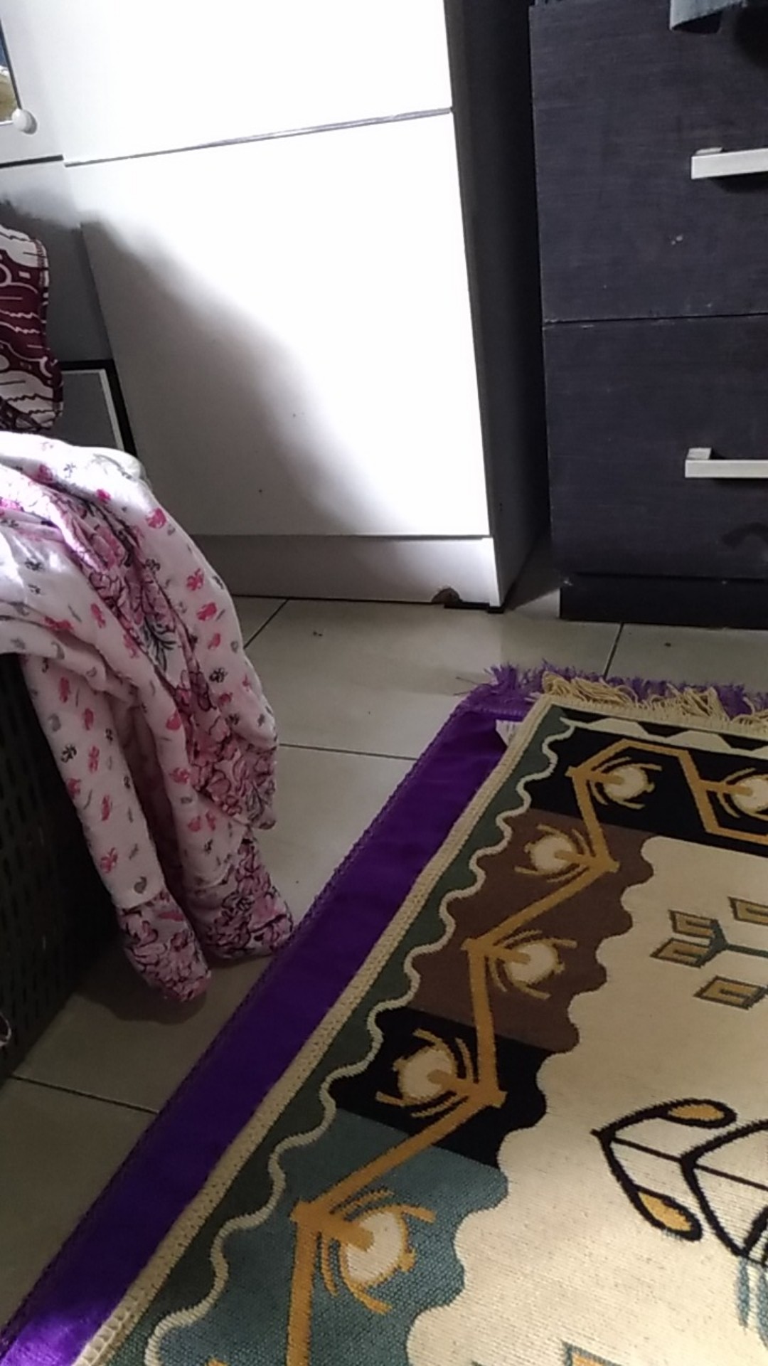 Serat Fiber Untuk Aquaproof