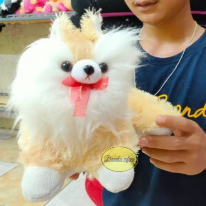 Boneka Kucing Anggora Bulu Lembut Panjang