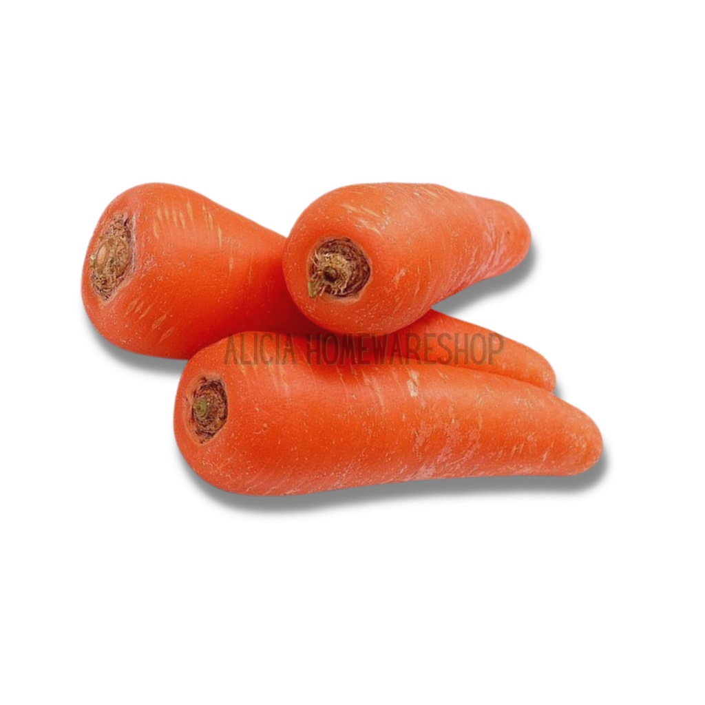 

Wortel brastagi (READY STOCK) 0,5kg/pack