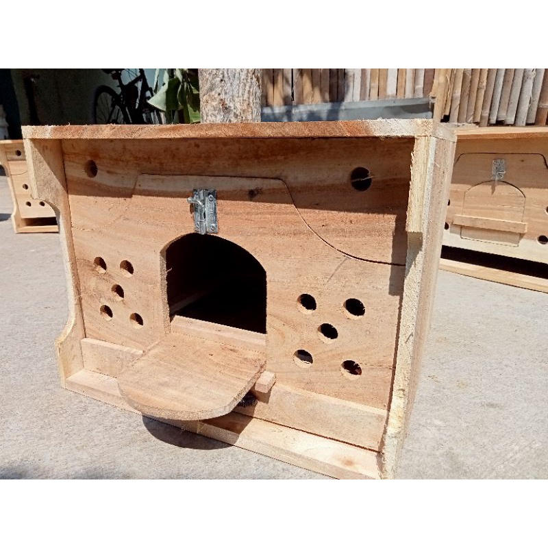 Gupon merpati Dua pintu