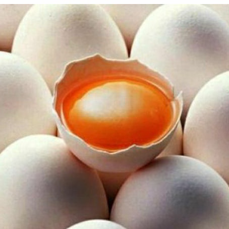 

Telur / telor Kampung Merah (Orange) Organic Satuan