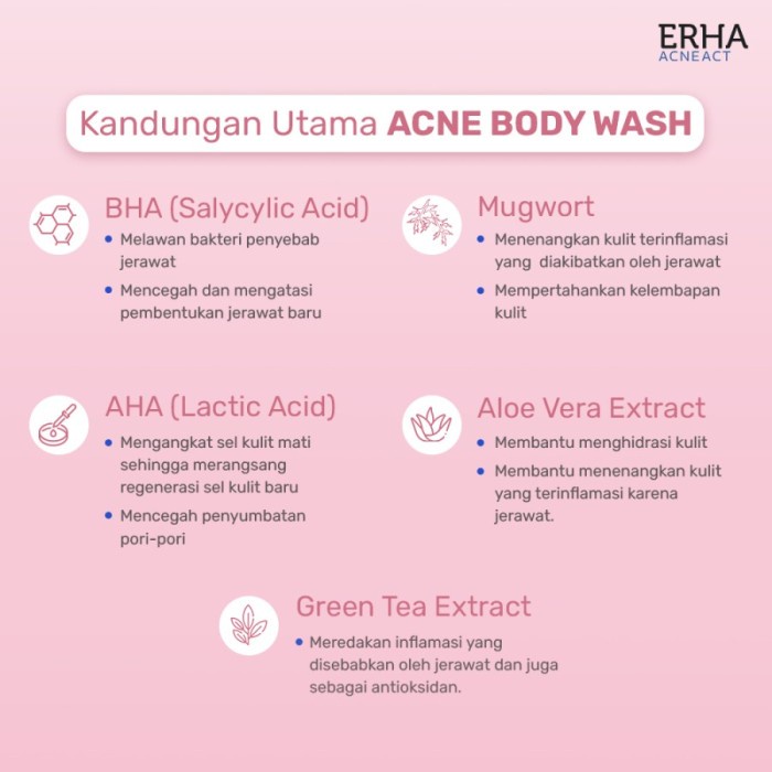 Erha Acneact Acne Body Wash BHA &amp; Mugwort (Sabun Jerawat) - 240ml