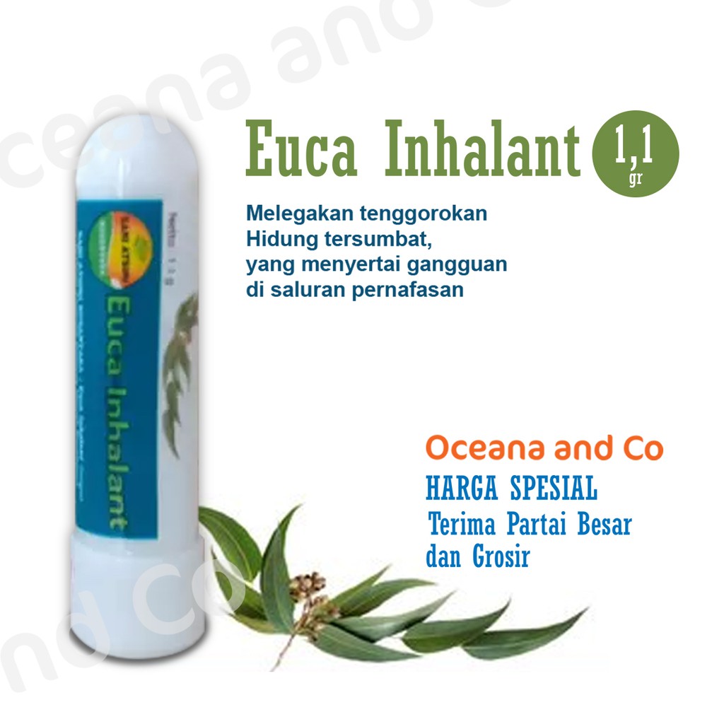 Euca Inhalant 1,1gr CAP LANG / Euca Inhaler Eucalyptus