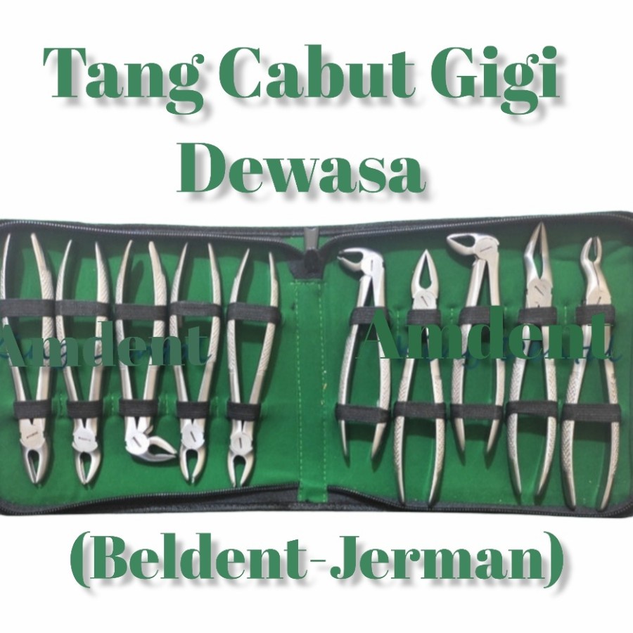 Tang Cabut Gigi Dewasa Set/tang cabut gigi adult forcep