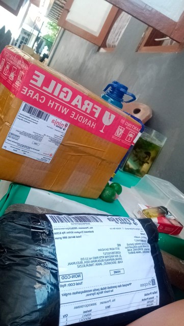 Paket Dandang Mini 2