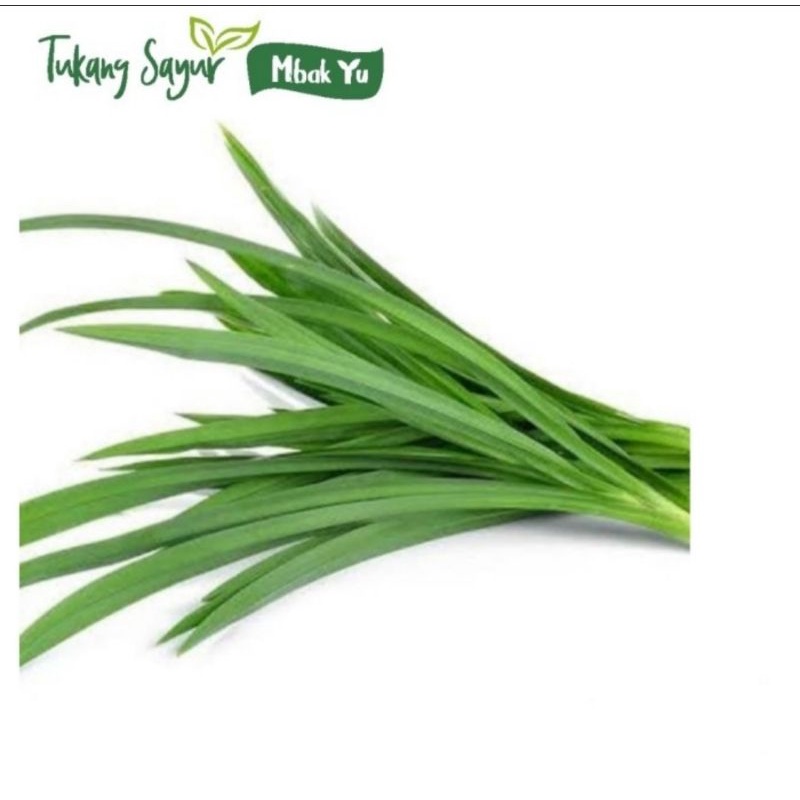 

pandan segar per ikat
