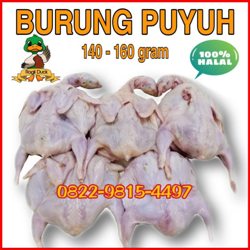 

BURUNG PUYUH 140-160 gram