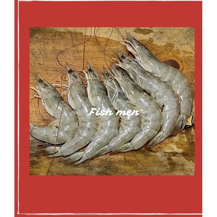 

Udang Vaname Fresh 1kg