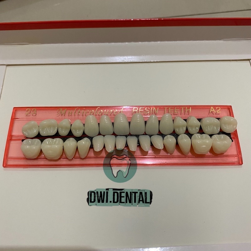 E3.8 Anasir gigi tiruan / gigi palsu akrilik caiyu / artificial teeth acrylic /  gigi tiruan