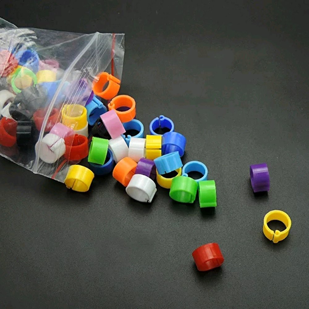 Foot Ring Bird Pigeon Gelang cincing klip Kaki Burung Merpati Dara