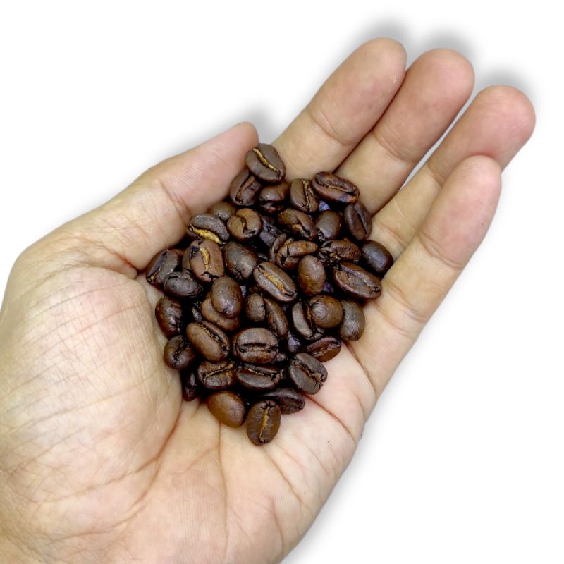 

kopi lampung arabika 1000 gr 1 kg arabica coffee bean kopi hitam bukan luwak biji atau bubuk