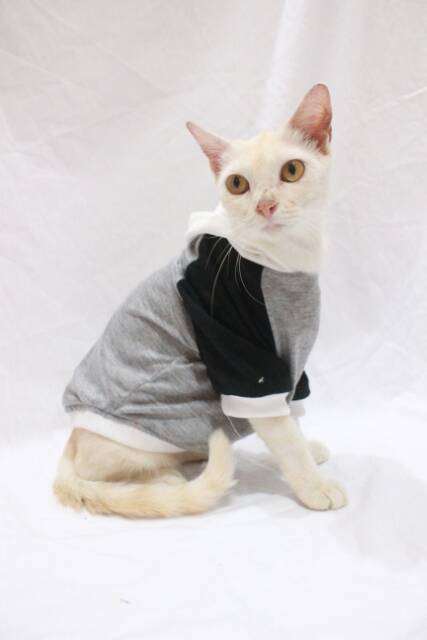 Kaos jumper hoodie batman untuk kucing dan anjing size S-XL / baju kucing terlaris 2019