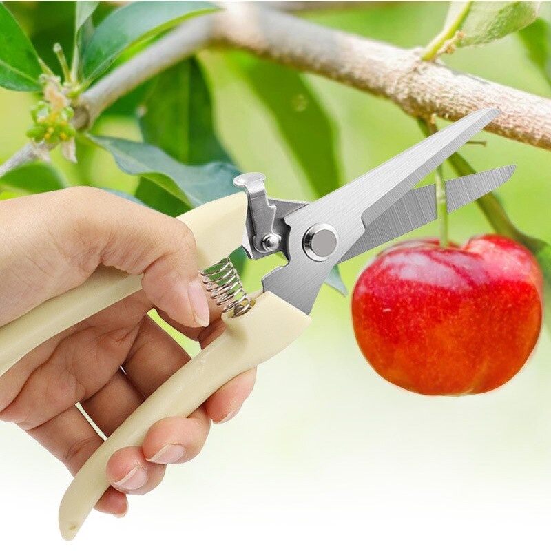 Alat Potong Dahan Ranting Pruning Shears Gunting Dahan Ranting Berkualitas Taman Berkebun FEFARM