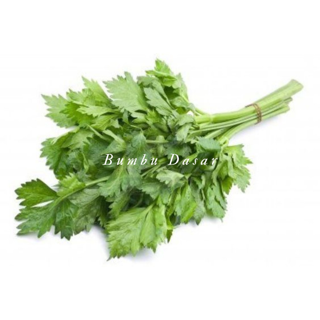 

Bumbu Dasar - Daun Seledri Segar 50 Gr