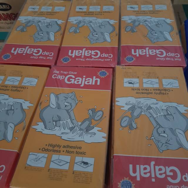 72 Pcs Lem Tikus Cap Gajah Trap / Papan